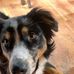 Elena Roberts - Facebook