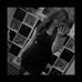 Ellena Bailey - Facebook