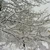 Ellery Davis606 - @eperezi - TikTok