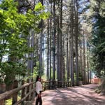 Ellery - @ellerydean__.4r.6 - Instagram