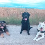 Ellery - @ellerydeanbunqs - Instagram