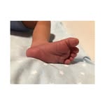 Ellery - @ellerydunn__49x1 - Instagram