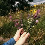 ELLERY - @ellery_____garnerc8yv - Instagram