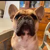 ellery - @elleryhall - TikTok