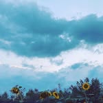 Ellery - @elleryharveyh.q9b - Instagram
