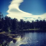 Ellery - @elleryharveyyfn - Instagram