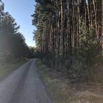 Ellery - @_ellery.howard_bdw5 - Instagram