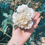 Ellery - @ellery_long2q55h - Instagram
