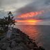 Ellery Miller - Facebook
