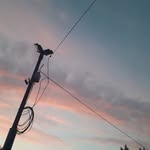 ELLERY - @ellery_nelson__s4qm - Instagram