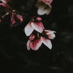 Ellery Roberts - @ellie_belle764 - Instagram