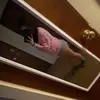 Ellerysuperpriv - @ellery_roberts3628 - TikTok