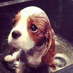 Ellery Walker - @ellerycase71528 - Instagram
