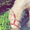 Elexa Ingram - @elexa.ingram.spare - TikTok