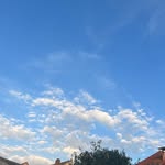 Elli - @elli_ackermann - Instagram