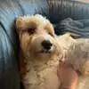 Ellie Cohen - @elliecohen8 - TikTok