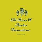 Elivania Queiroga - @ellifloreseplantasdecorativas - Instagram