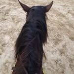 Sonja Dicken - @elli_flores - Instagram