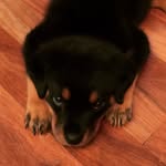 Elli Kim - @thekimellizabeth - Instagram