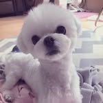 Elli Kim - @elli.kim.10 - Instagram