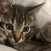 ℰ𝓁𝓁𝒾 🐱 - @klein.elli - TikTok