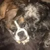 elliklein2 - @elliklein2 - TikTok