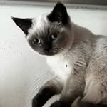 Elli - @ellima_yer - Instagram