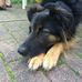 Elli Mayer - Facebook