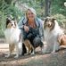hundeTEAMschule Elli Mayer - Facebook
