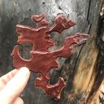 Elli Morris - @tree_storyteller - Instagram
