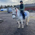Ellie.samuelsson - @ellie.samuelsson - Instagram