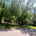 Eliseo - @elli.seo - Instagram