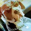 Ellis Suarez - @ellis.suarez - TikTok