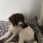 Ellie Abbott - Facebook