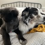 @abel_ellie_iris - Instagram