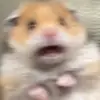Ellieahnah3000 - @.eli3000 - TikTok