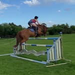 ellie ashpole🐎 - @ellieashpole.eq - Instagram