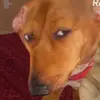 Ellie Baxter - @ellie.baxter98 - TikTok
