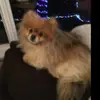 ellie_baxter - @ellie_bax - TikTok