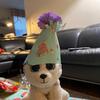 Ellie bean - @ellie_bean01 - TikTok