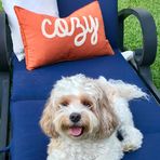 Ellie &amp; Bray Interiors - Facebook