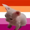 ellie - @elliecarroll40 - TikTok
