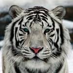Ellie Corner - @corner_ellie - Instagram