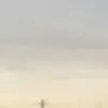 Ellie - @ellie.cornerx - TikTok