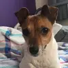 Ellie  - @elliecummins18 - TikTok