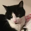Ellie Dailey - @elliedailey06 - TikTok