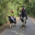 Ellie & Duke♥ - @elliemayequestrian - Instagram