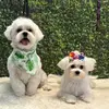 Ellie & Duke - @ellieyduke_10 - TikTok