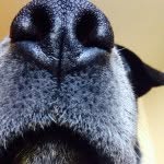 Ellie Duke Coad - @ellduke - Instagram