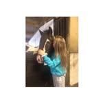 Ellie&Duke💗🦄 - @ellie.duke123 - Instagram